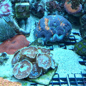 IMG_20170726_154537934_HDR