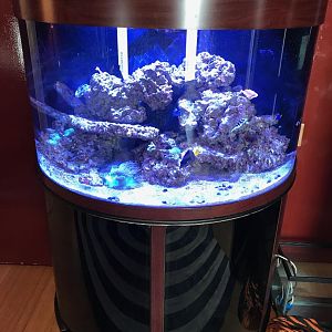 75g
