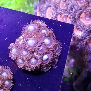 20180201_133329_resized