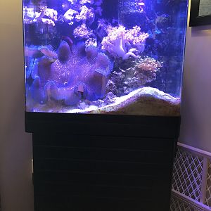 40930CF3-8FBE-492B-B668-C2019C1B9594