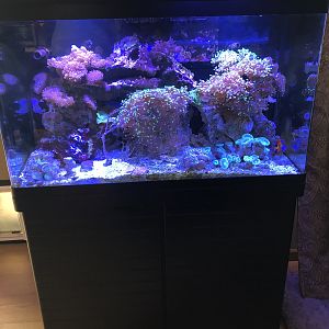 26ABB823-579F-4355-B4BA-F35EA3E69013