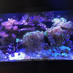 C42526D8-6B28-4660-B078-51F652D0A3BF