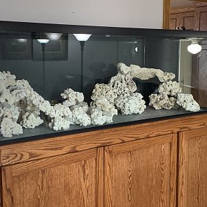 A2021F8B-80FD-4137-9F45-D261735A803D