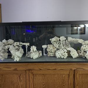 23202BF9-88D3-47EC-B025-2FD7EE142F5B