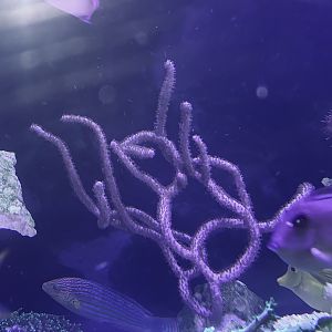 68266116-90C5-47A7-BB9A-4833D1AF55D7