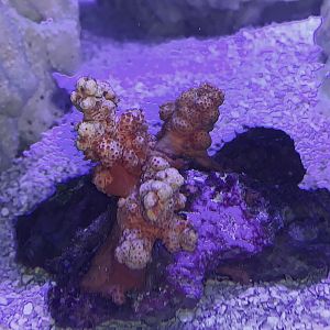 914D15B2-2506-4686-8598-AD9FF0E067B8