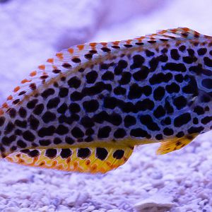 CF5C2BD0-533D-47B9-AF3F-53602BAB7CA5