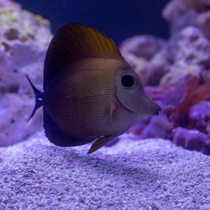 A685CCB4-88DC-458F-BE49-ECD5007C90FD