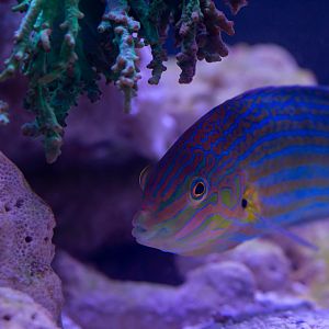 B467B326-6AA1-4037-BDEC-E287F1761795