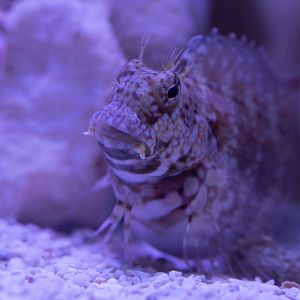 10997737-C0D4-45AB-B5C5-630F15D17192