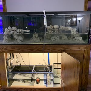 2799FD87-BEF8-4EA5-9E63-C78C7025445A