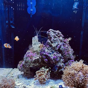 Nano Cube Front View