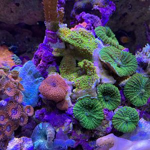 784E7B30-423F-4E44-ACD2-AF51B65AECF6