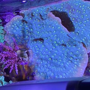 498D2BED-87FD-4E2B-BDA5-37F244ECDA8D