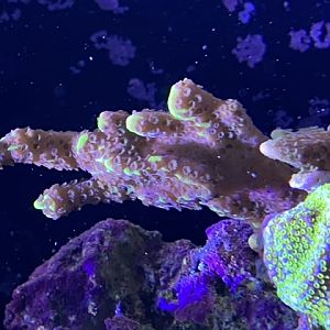 6028A2E6-F06B-45E8-81FB-3EADED953446