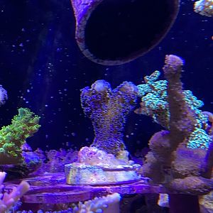 1A84A799-490C-4F6C-A70E-0303E061A0AD