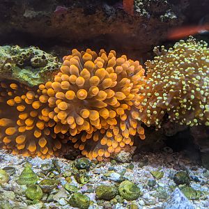 PXL_20201001_172534492