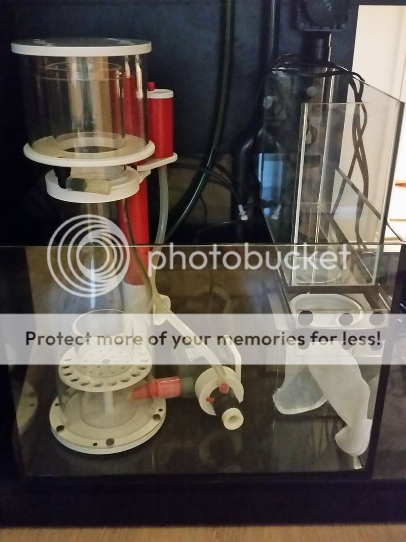 Red Sea Reefer 250 Build Tcmas Forums