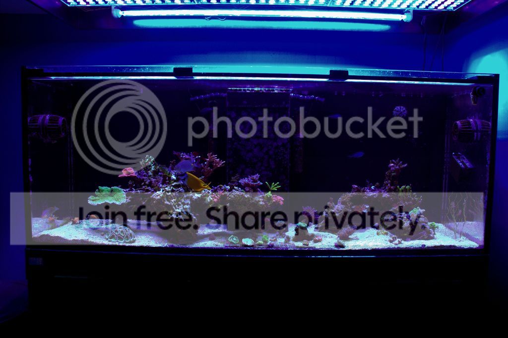 210g%20FTS%204-18-17_zpsvroniovg.jpg~original