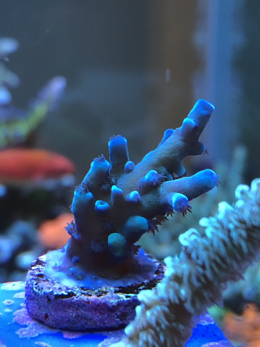 cfa825e8-788a-4351-9195-7cdcfce42066-jpeg.1069716