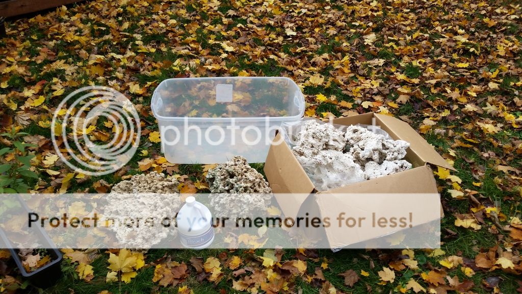 20151101_141843_zpsl9lhpekp.jpg~original