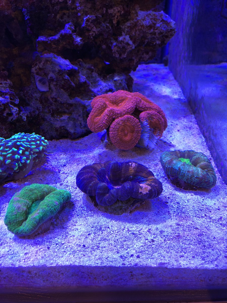 a9de50ff-5ab1-41ca-b316-71a045fd9ec3-jpeg.1069717