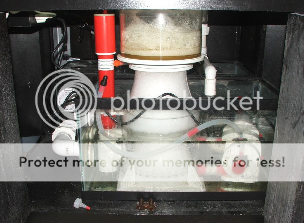 BK-SM-250-Sump-setup.jpg