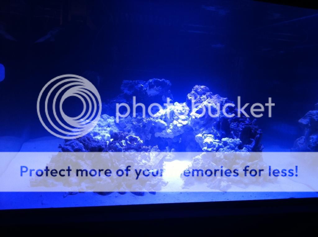newtank3_zps4b6d890d.jpg