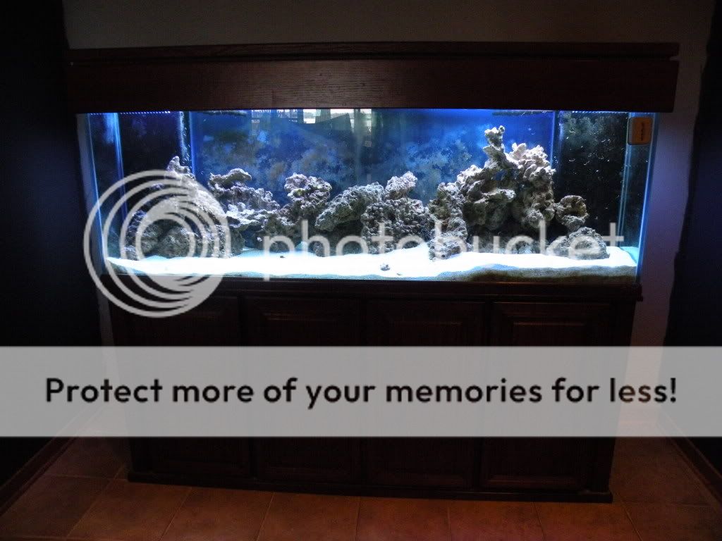 aquarium1.jpg