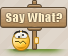 :SayWhat
